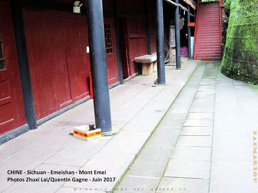 Emeishan 104.JPG
